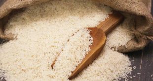 بهترین روش برای نگهداری از برنج خام + نکات طلایی