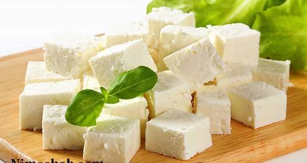 پنیر برای سلامتی مضر است