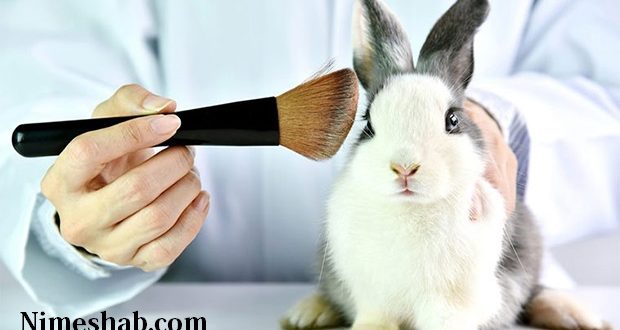 تست لوازم آرایشی روی حیوانات