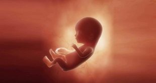 علائم لانه گزینی جنین چیست و دقیقا چه زمانی اتفاق می افتد؟