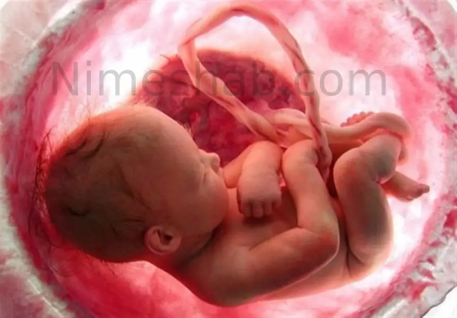 علائم لانه گزینی جنین چیست و دقیقا چه زمانی اتفاق می افتد؟