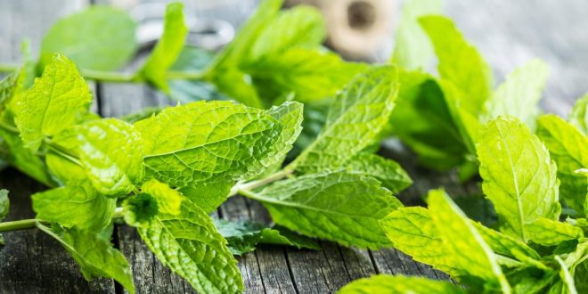 10 خاصیت شگفت انگیز نعناع و روشهای استفاده از آن