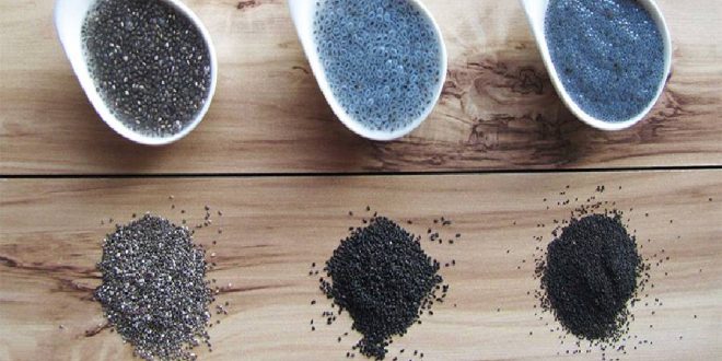 دانه چیا با تخم شربتی و تخم ریحان چه تفاوتی دارد؟