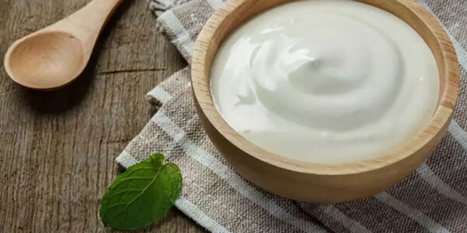 تهیه ماست خانگی