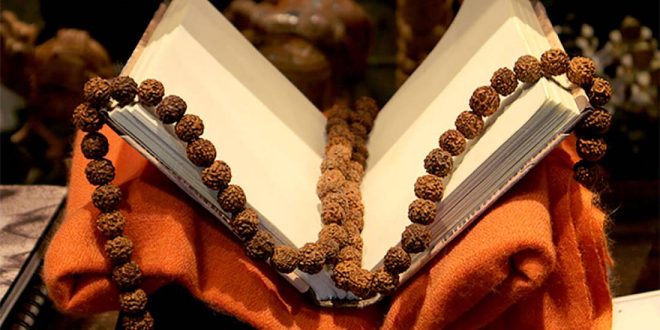 رودراکشا (rudraksha) چیست و چه خواصی دارد؟