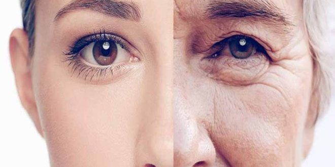 کلاژن چیست ؟ چگونه می توان به کلاژن سازی کمک کرد؟