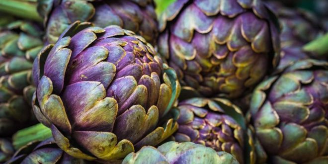 کنگر فرنگی چیست و چه خواصی دارد؟