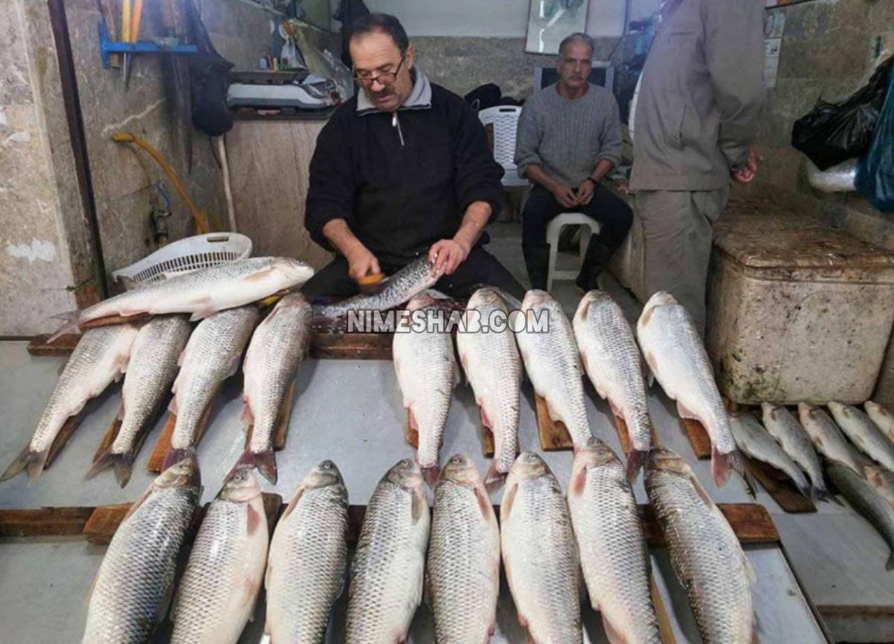 بازار ماهی فروش رامسر