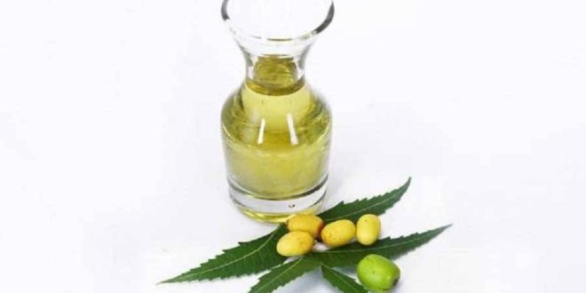 خواص گیاه چریش برای سلامتی پوست و مو