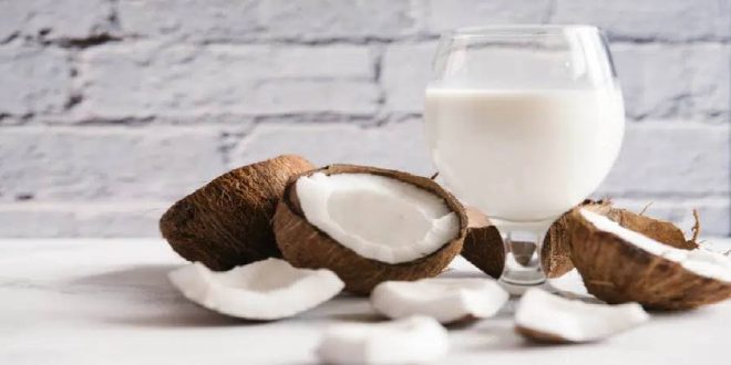 طرز تهیه شیر نارگیل خانگی و خواص آن