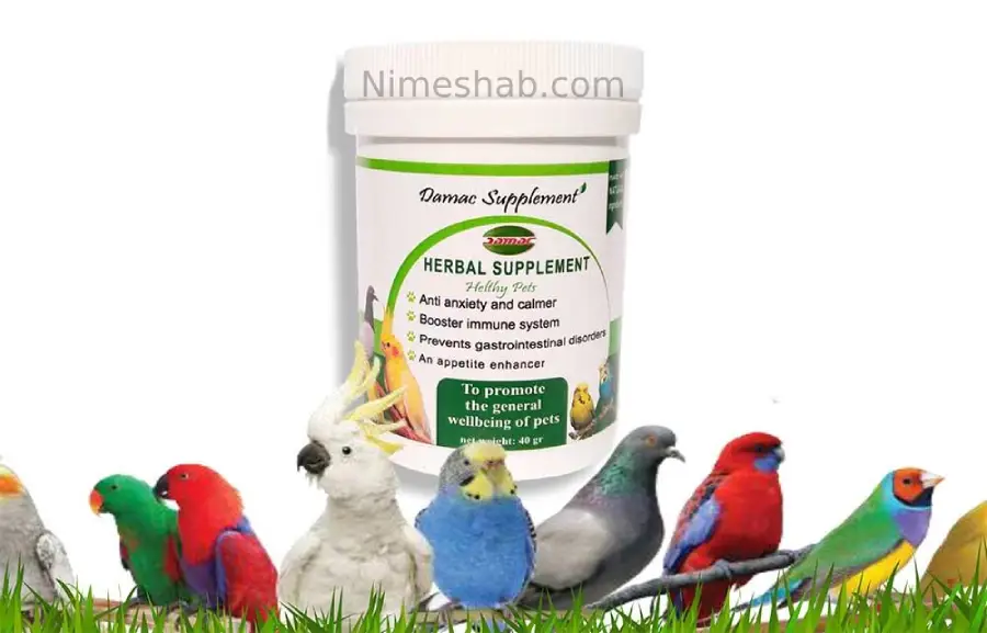 مولتی ویتامین پرندگان | راهنمای خرید ویتامین پرنده