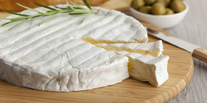 آشنایی با پنیر کممبر و روش تهیه آن