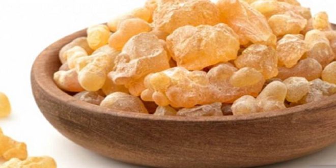 خواص بی نظیر کندر خوراکی برای خانم ها و آقایان