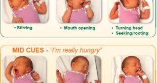 سیر بودن نوزاد-گرسنه بودن نوزاد