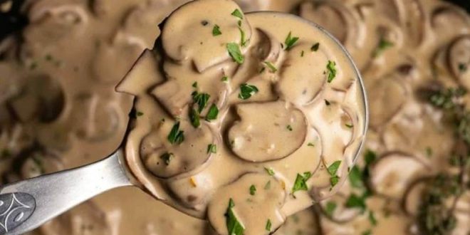 طرز تهیه سس قارچ و خامه با نواب ابراهیمی