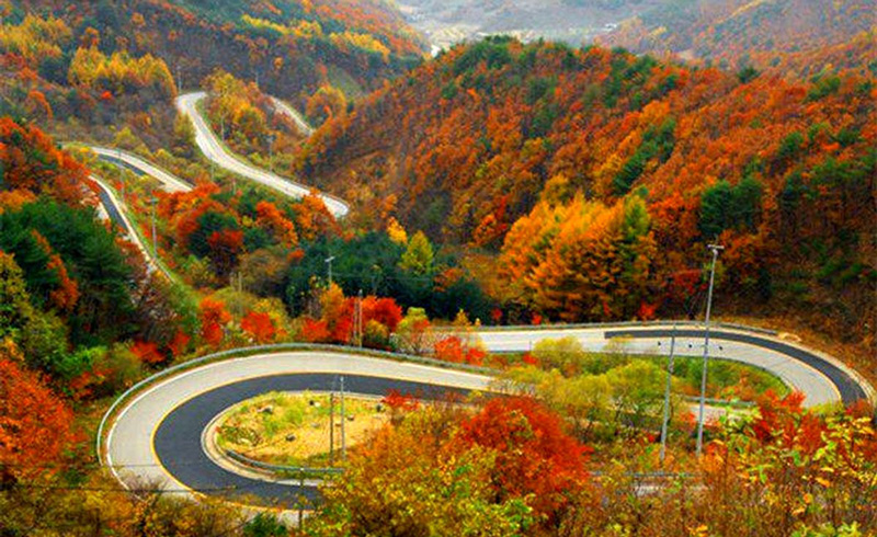 جاده چالوس زیباترین جاده پاییزی