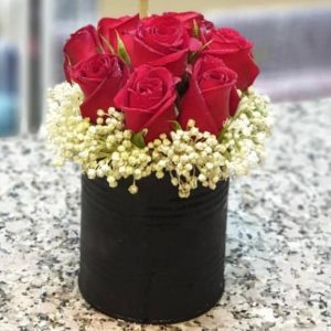 باکس گل رز قرمز هلندی با ژیپسوفیلا