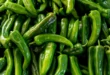 طرز تهیه ترشی تند و خوشمزه برای عاشقان فلفل