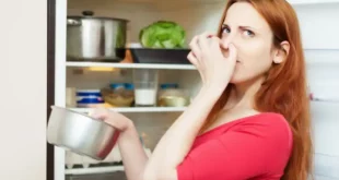 ترفندهای جلوگیری از بوی بد یخچال و فریزر