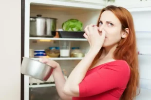ترفندهای جلوگیری از بوی بد یخچال و فریزر
